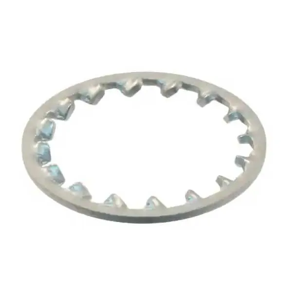 000-5579-NA (WASHER INT TOOTH 3/8 PHOS BRONZE)
