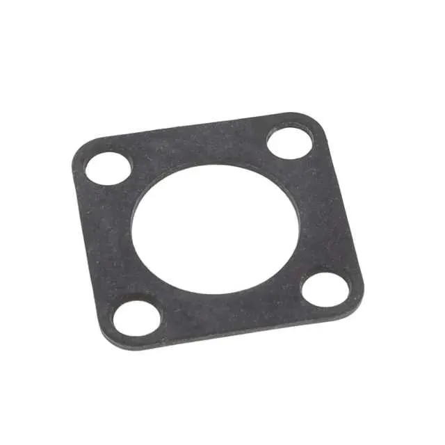 10-036675-010 (ER 10S/10SL GASKET TYPE R)