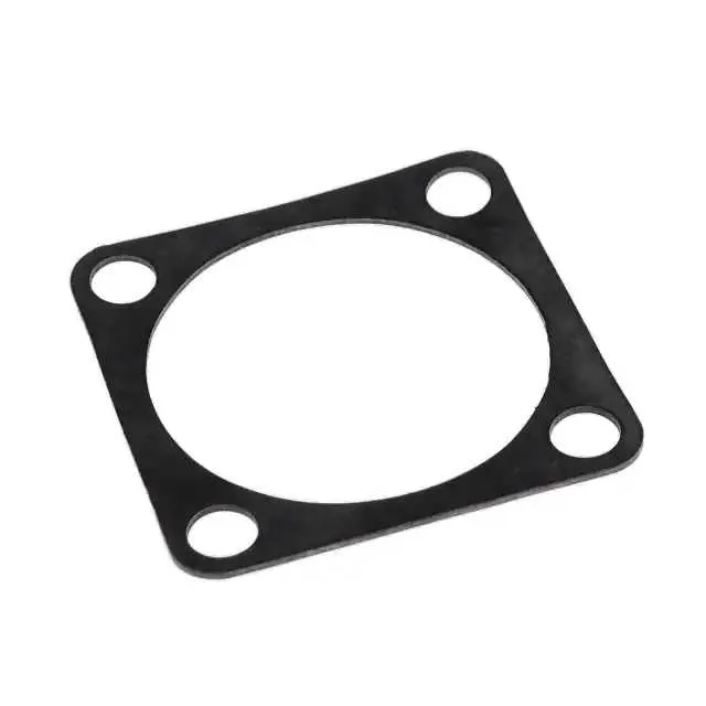 10-036675-020 (ER GASKET 20 LOW TEMP)