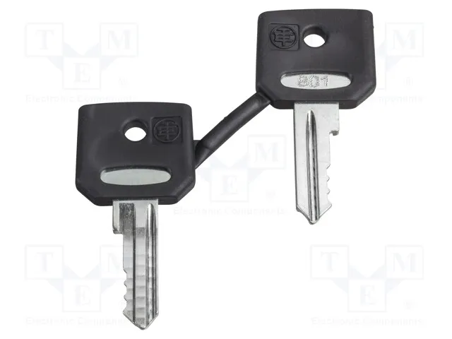 ZBDA185 (SET OF 4A185 KEYSСрок поставки 5-10 дней)