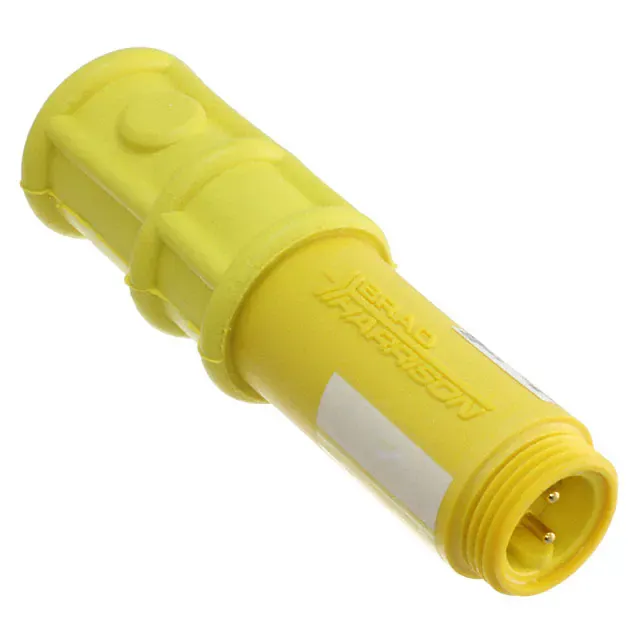 1300230001 (SWINGER 2P SWITCH SPST NO)