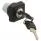1.30076.1010000 (KEYLOCK SWITCH LATCHING)
