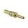 213567-1 (CONTACT PIN 16-18AWG CRIMP GOLD)