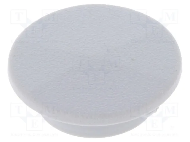 CL1736 (Cap; plastic; push-in; grey; Application: K21Срок поставки 2-3 недели)