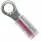 53407-2 (CONN RING CIRC 16-22AWG #6 CRIMP)