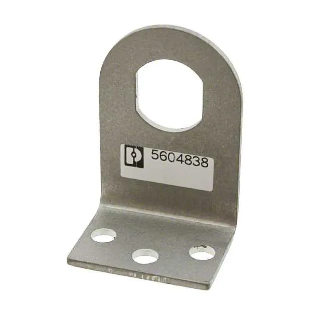 5604838 (BRACKET)