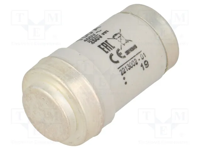 002213002 (FUSED03GG100A400VAC250VDC)