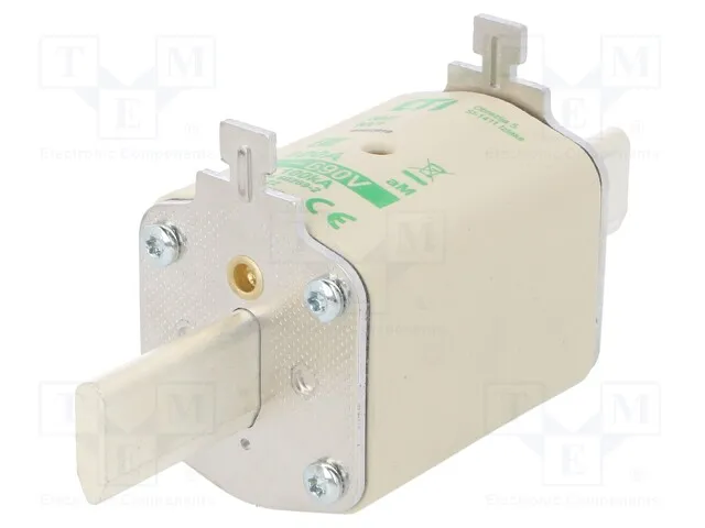 004184422 (FUSENH1AMM100A690VAC KOMBI)