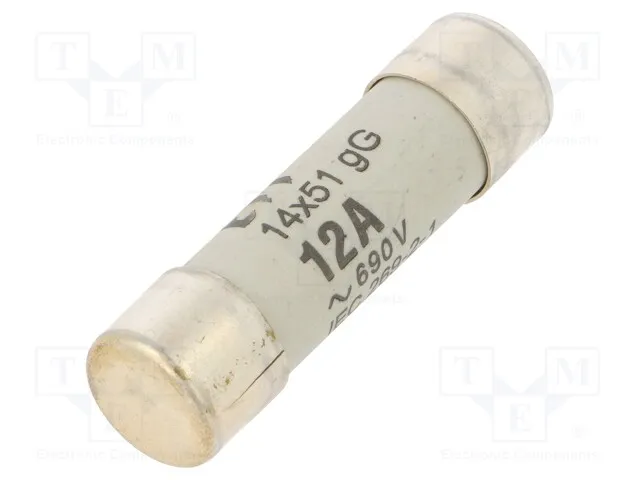 002620005 (FUSECH10X38GG6AAC)