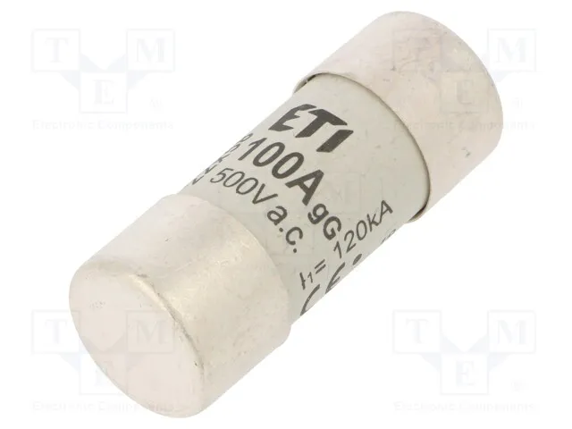 002640025 (FUSECH22X58GG100A500VAC)