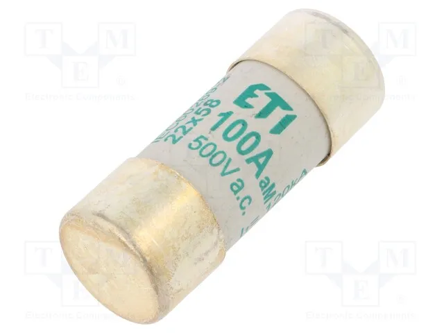 002641025 (FUSECH22X58AM100A500VAC)