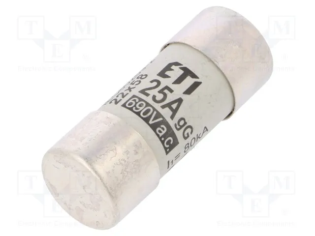 002640013 (FUSECH22X58GG25A690VAC)