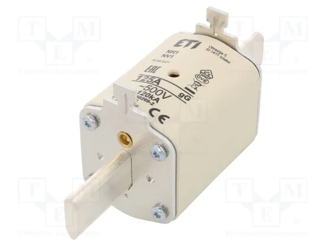 004184223 (FUSENH1GGM125A500VAC KOMBI)