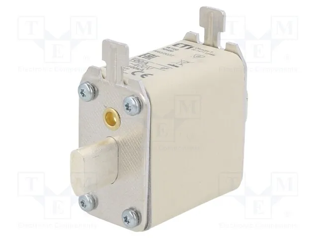 004119102 (FUSENH00GFM100A400VAC)