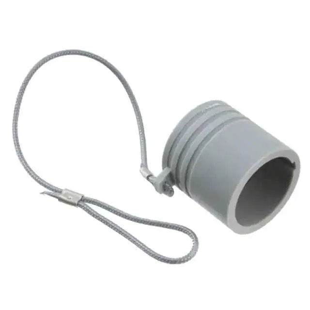 BFG.3B.100.PCSG (CONN CAP FOR 3B-3S PLUG IP51)