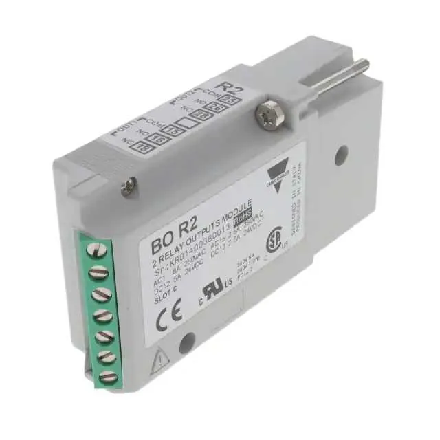 BOR2 (2-RELAY OUTPUT MODULE)