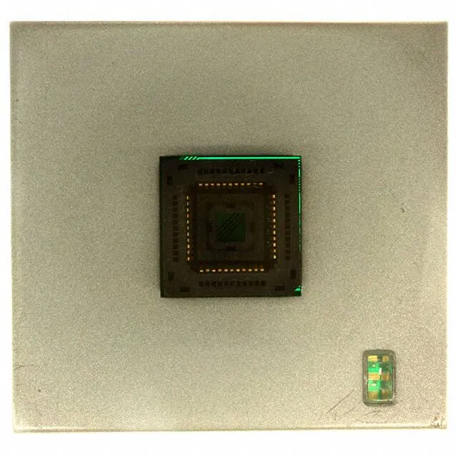 CX2044 (SOCKET ADAPTER 44PLCC SUPERPRO5K)