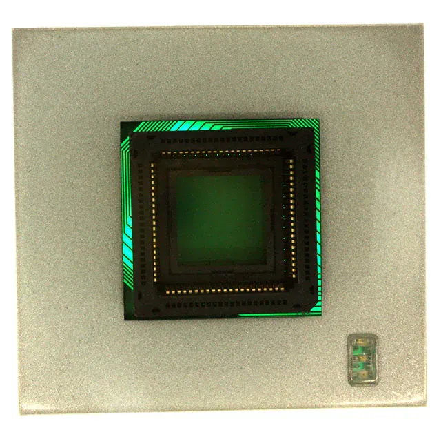 CX2084 (SOCKET ADAPTER 84PLCC SUPERPRO5K)