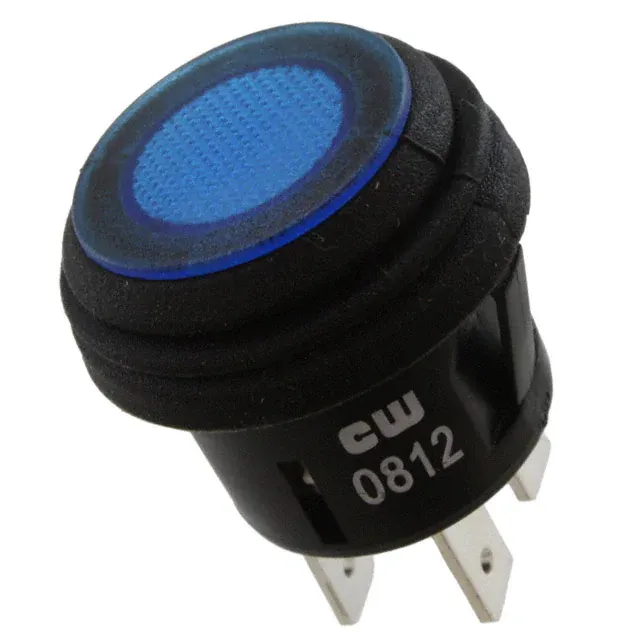 GPB527B202BU (SWITCH PUSHBUTTON DPST 10A 125V)