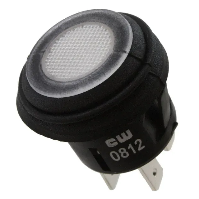 GPB527B202BW (SWITCH PUSHBUTTON DPST 10A 125V)