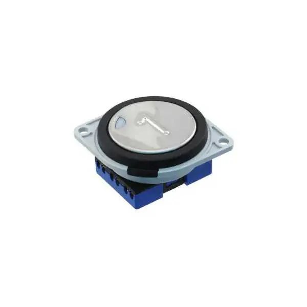 LPI5106R2K21701 (SWITCH PUSHBUTTON DPST 5A 12V)