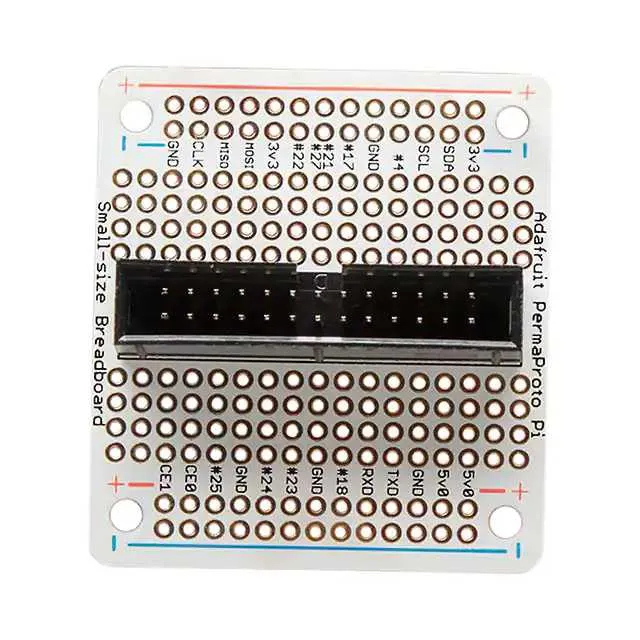1171 (SMALL-SIZE PERMA-PROTO RASPBERRY)