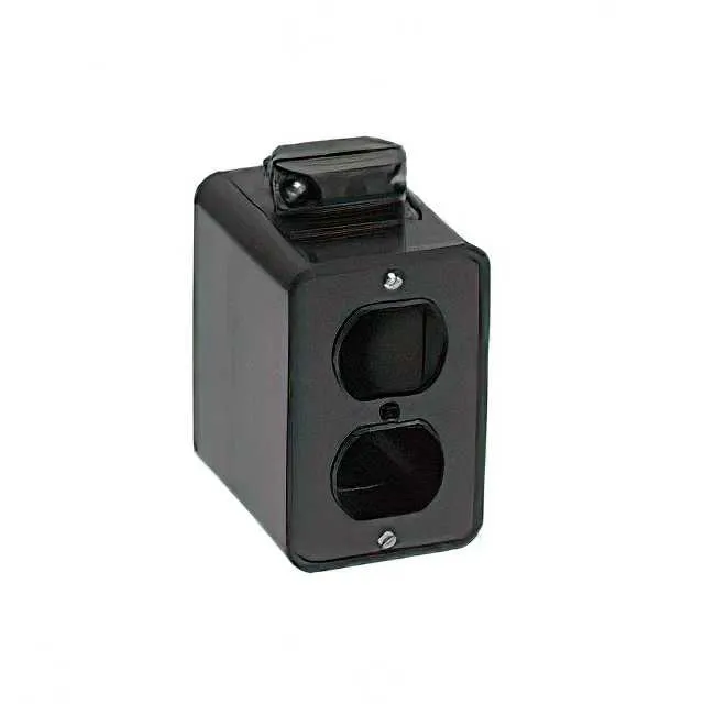 1301370205 (FEED-THRU DEEP-BOX PENDNT BLACK)