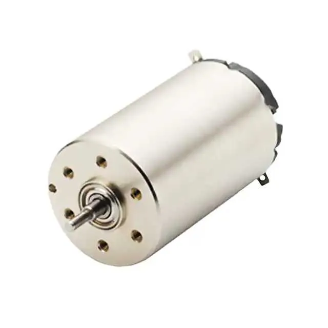 25GST2R82-216P.1 (STANDARD MOTOR 10000 RPM 24VDC)