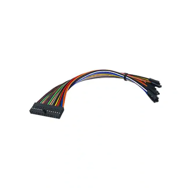 310-064 (FLYWIRES)
