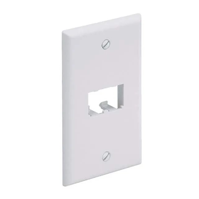 CFP2IG (FACEPLATE, 2 PORT, CLASSIC, INTL)