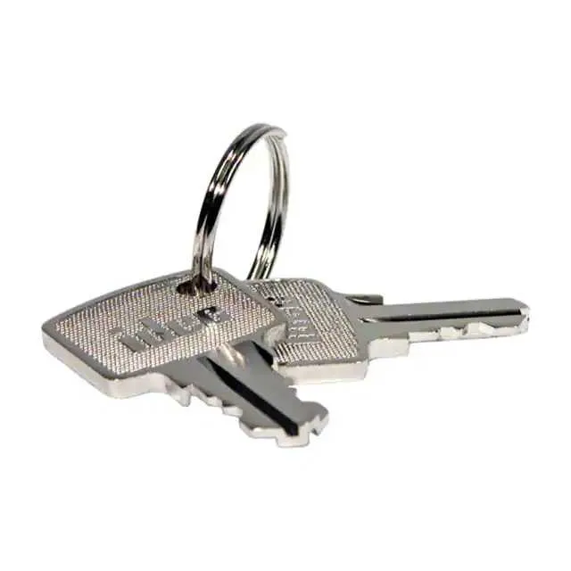 HW9Z-SKP (REPLACEMENT KEY)