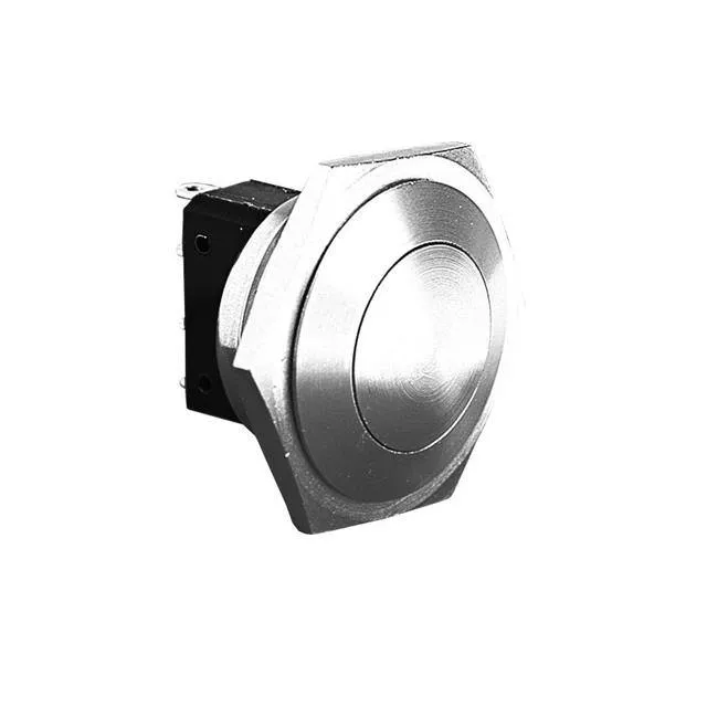 MP0027 (SWITCH PUSHBUTTON DPST 5A 250V)
