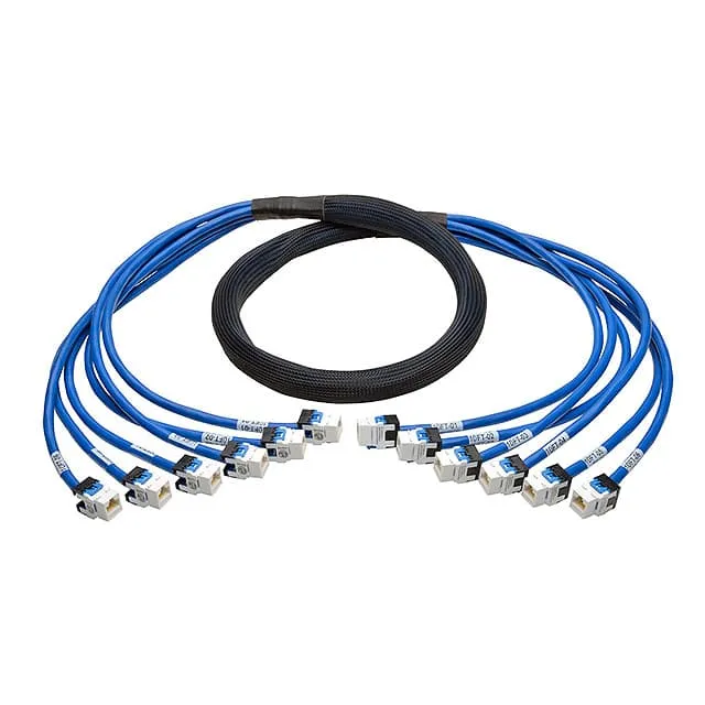 N261-010-6FF-BL (CABLE MOD 8P8C JACK-JACK 10')