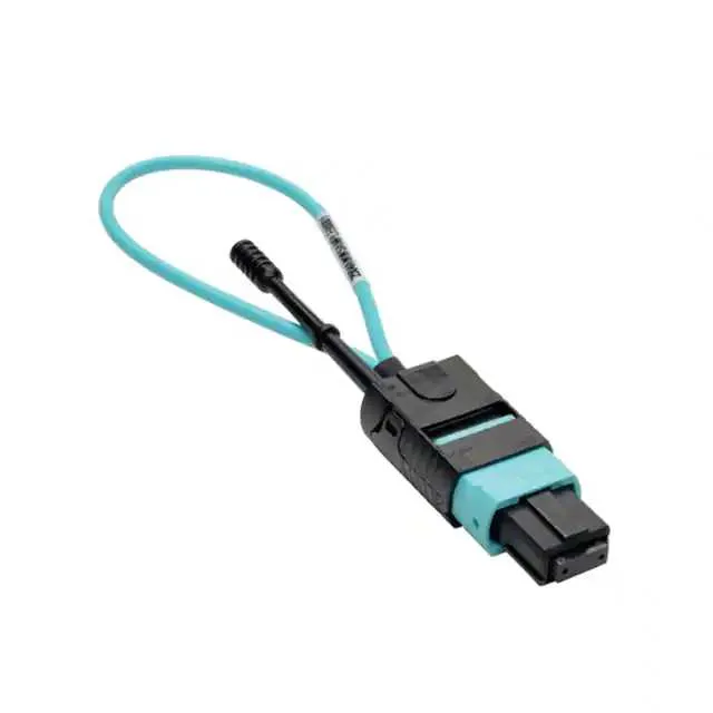 N844-LOOP-12F (PATCH CABLE FIBER)