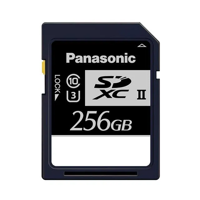 RP-SDXE25DA1 (MEM CARD SDXC 256GB CLS10 MLC)