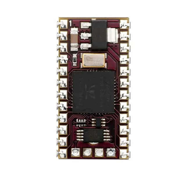 SS1-IC (MODULE SPIN STAMP MCU 24-DIP)