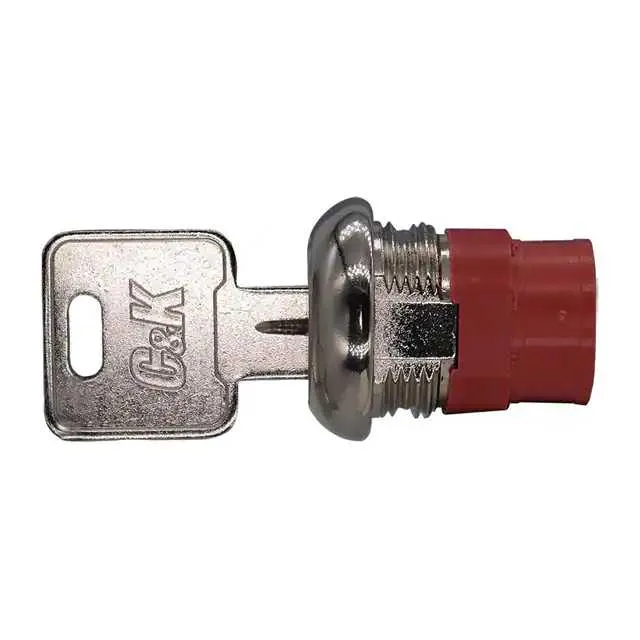 Y1011U2B203NQ (SWITCH KEYLOCK 2POS SPDT 4A 125V)