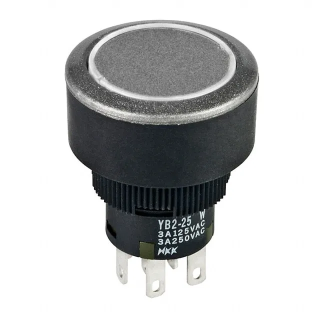 YB225CWCSW01-6B-JS (SWITCH PUSHBUTTON DPDT 3A 125V)