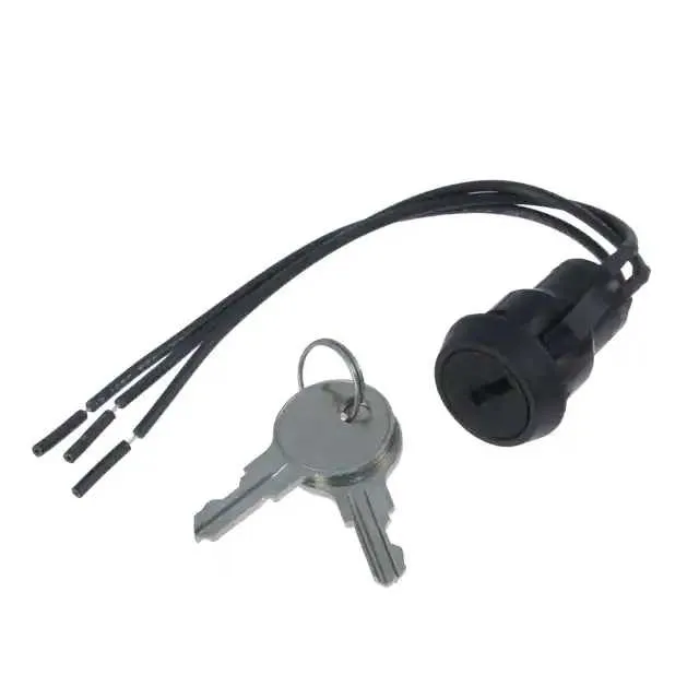 P101132CMWCG2 (SWITCH KEYLOCK 2POS SPDT 4A 125V)