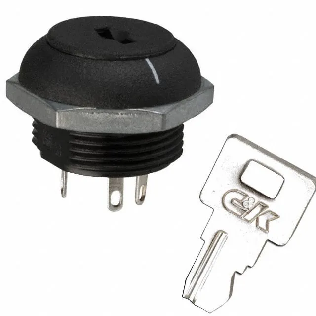 P101133WM03NQ2 (SWITCH KEYLOCK 2POS SPDT 4A 125V)