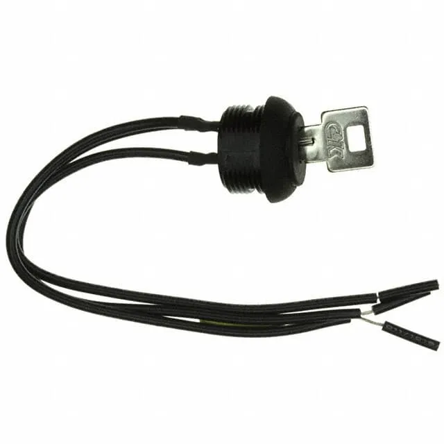 P1011U3WMWCNQE2 (SWITCH KEYLOCK 2POS SPDT 4A 125V)