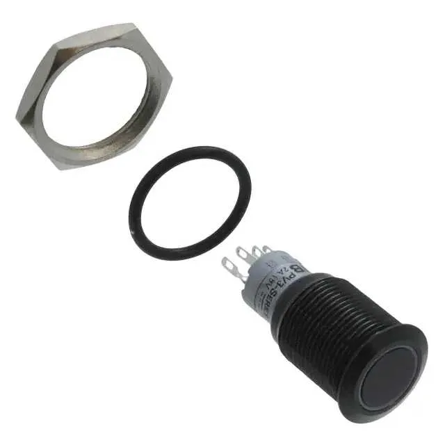 PV3F2B011G-304 (SWITCH PUSHBUTTON SPDT 2A 48V)