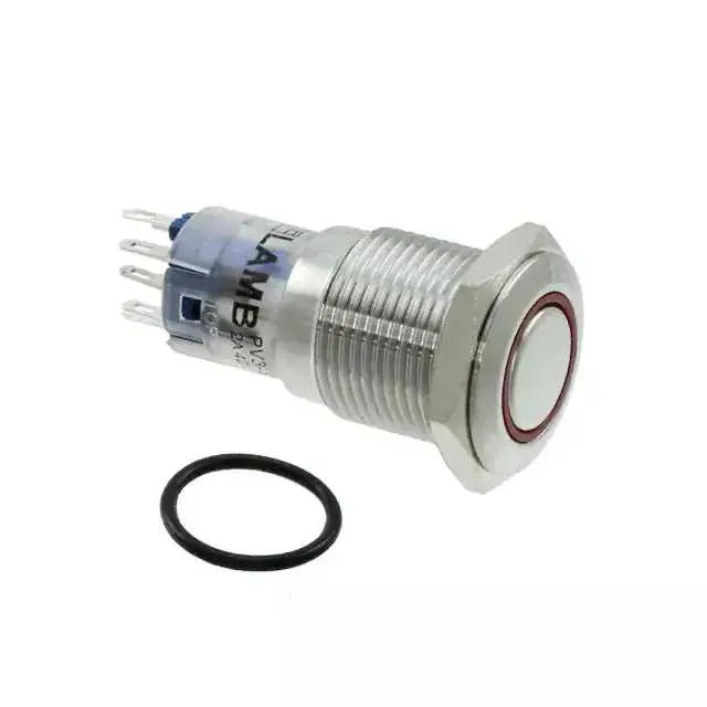PV3F2H0SS-311 (SWITCH PUSHBUTTON DPDT 2A 48V)