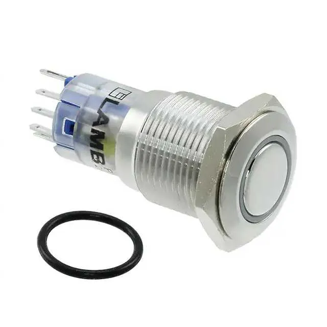 PV3WF2B0SS-3N4 (SWITCH PUSHBUTTON SPDT 2A 48V)