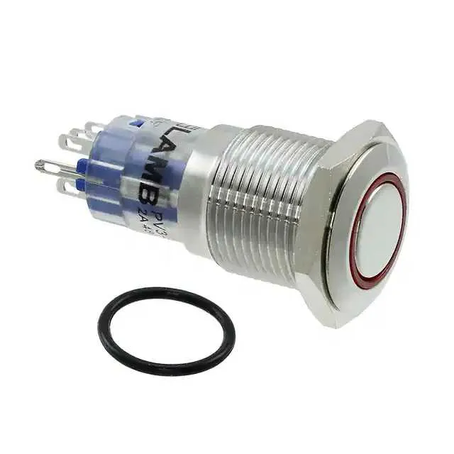 PV3WF2H0SS-315 (SWITCH PUSHBUTTON DPDT 2A 48V)