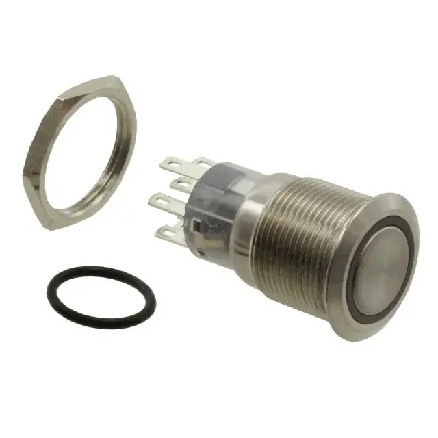 PV4F2G0SS-311 (SWITCH PUSHBUTTON DPDT 2A 48V)