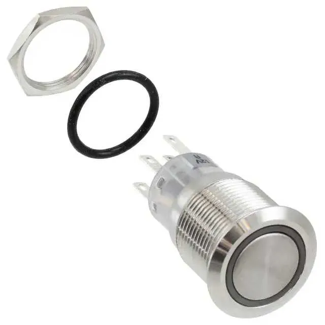 PV4F2G0SS-314 (SWITCH PUSHBUTTON DPDT 2A 48V)