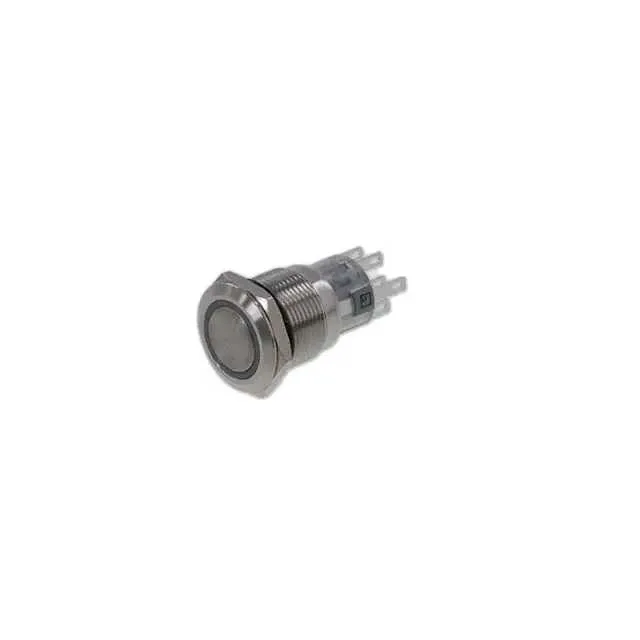 PV4F2G0SS-325 (SWITCH PUSHBUTTON DPDT 2A 48V)
