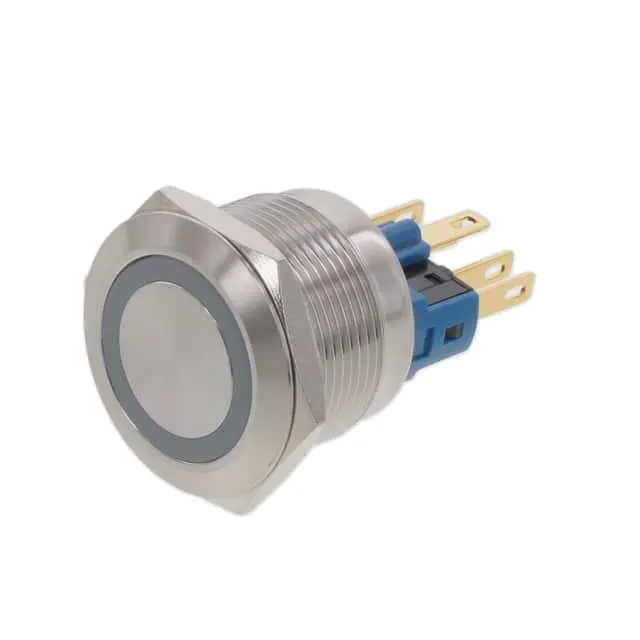 PV7F2Y0SS-315 (SWITCH PUSHBUTTON DPST 2A 48V)