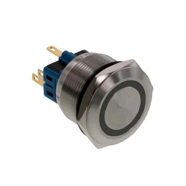 PV8F2Y0SS-315 (SWITCH PUSHBUTTON DPST 2A 36V)